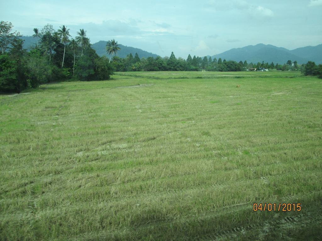 Oyo 275 Senyum Inn Pantai Cenang  Exterior foto